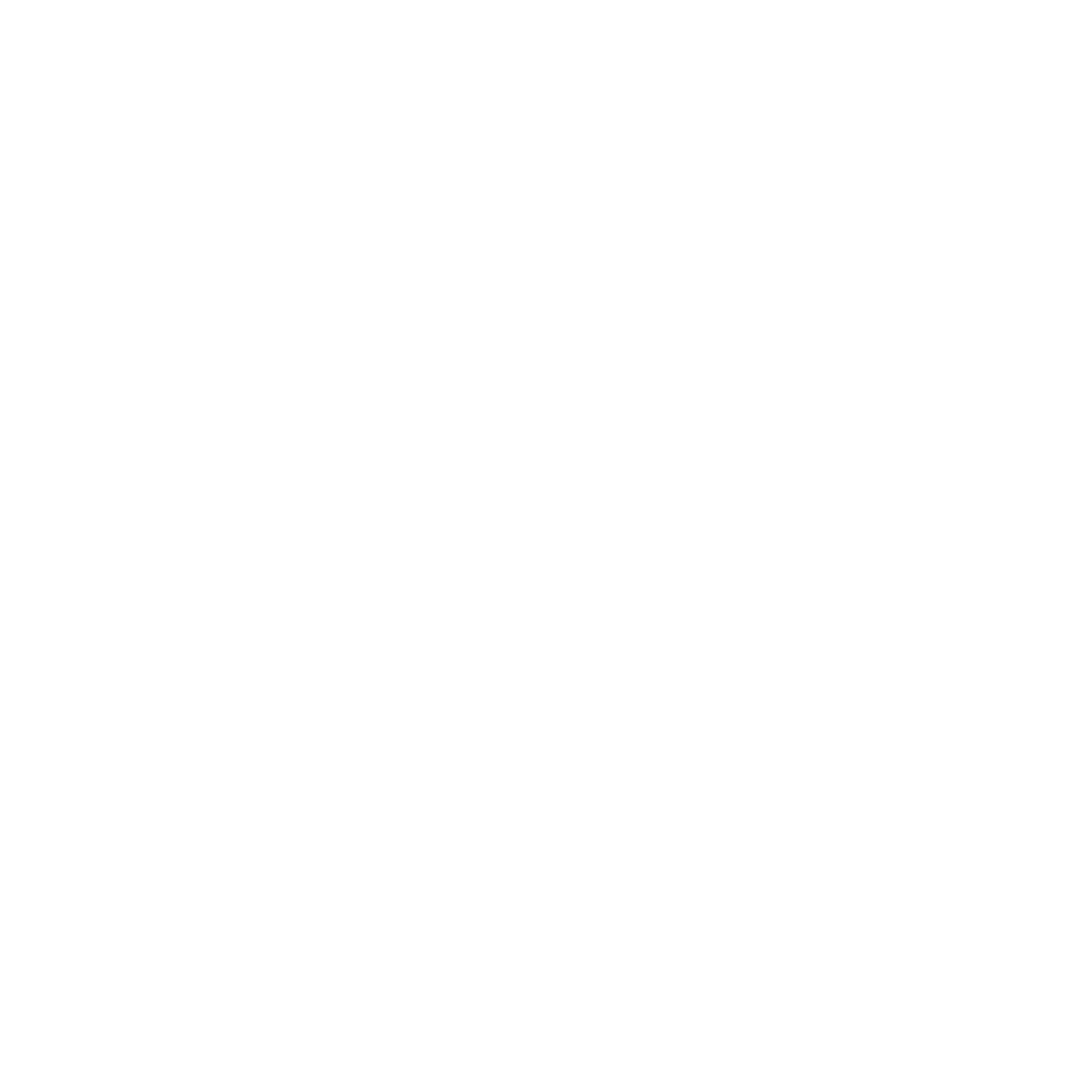 house icon